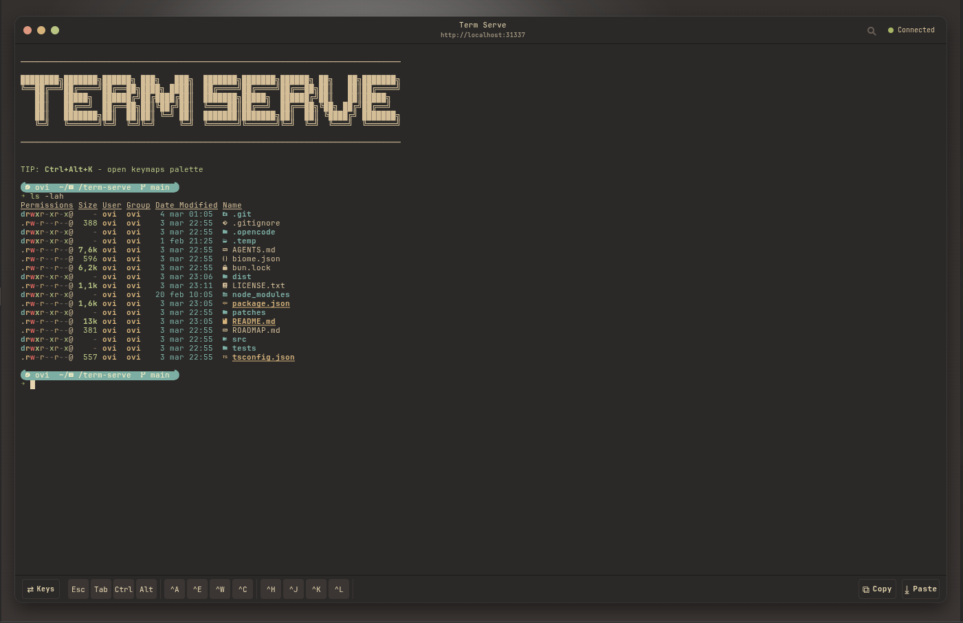 Term Serve user interface screenshot