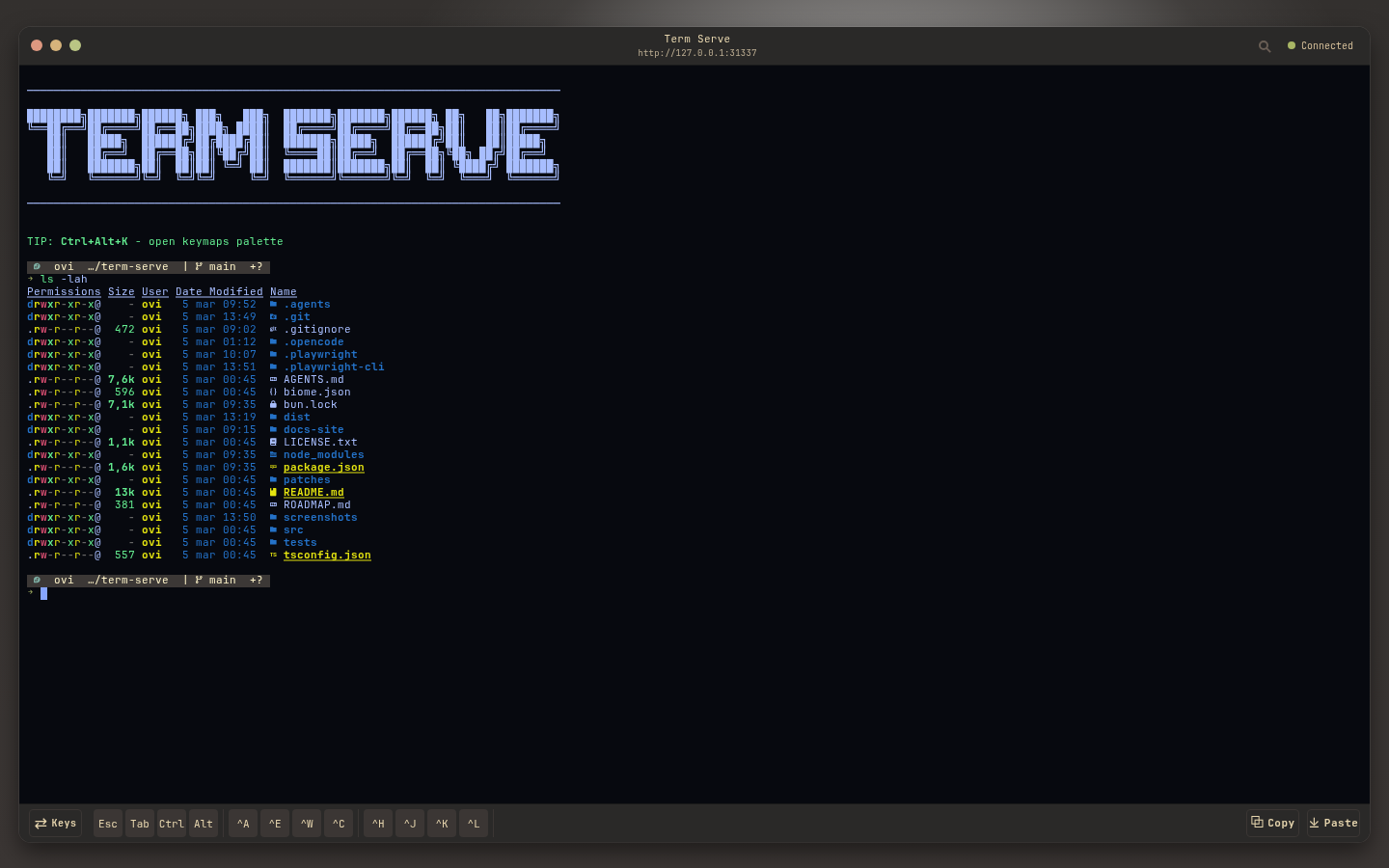 aurora-x theme screenshot