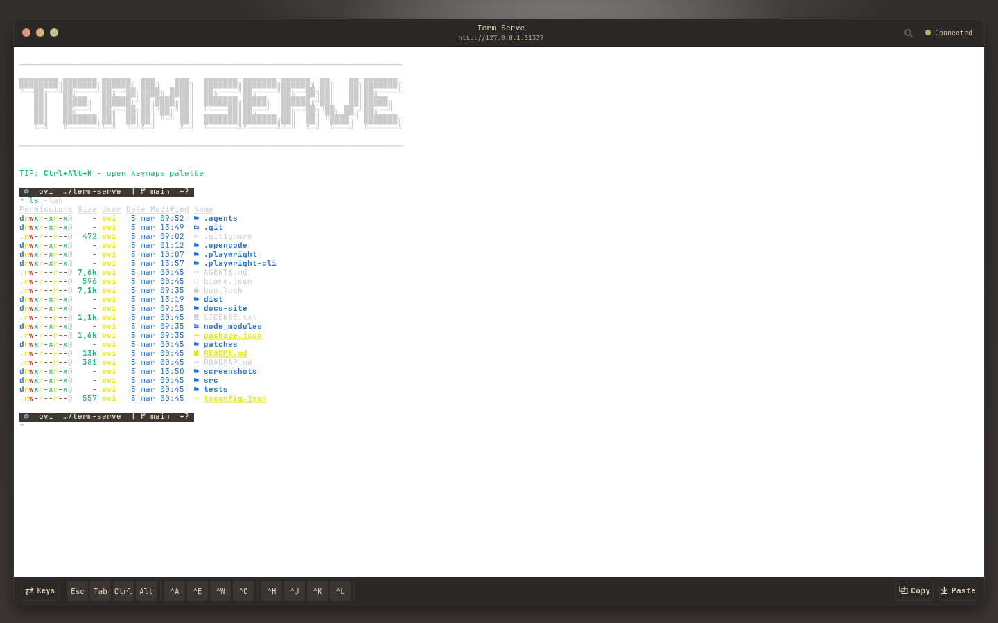 light-plus theme screenshot