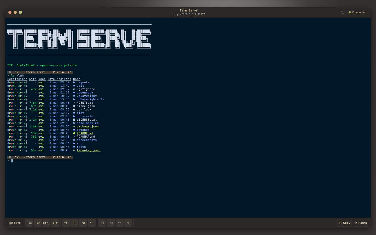 night-owl theme screenshot
