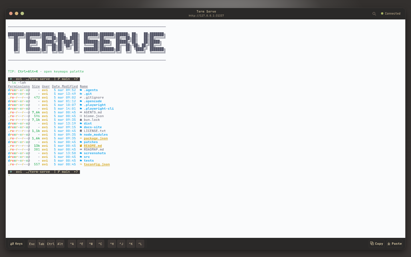 snazzy-light theme screenshot