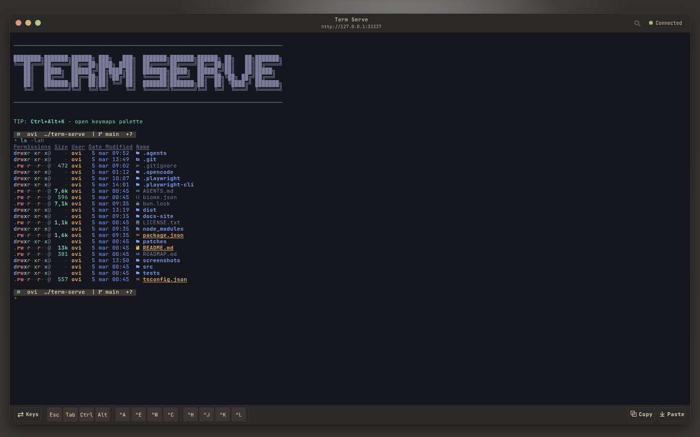 tokyo-night theme screenshot