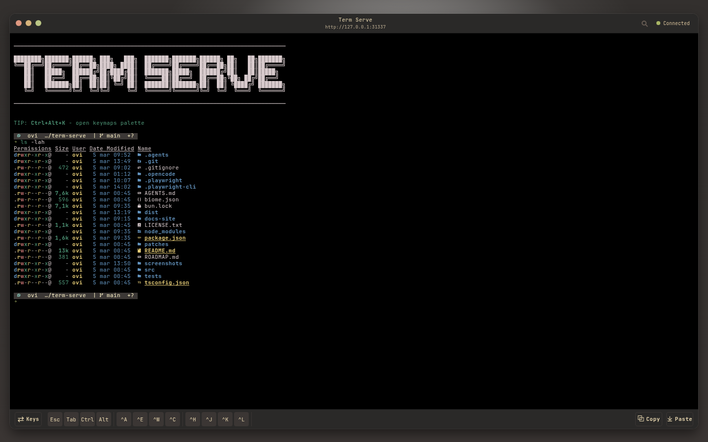 vitesse-black theme screenshot