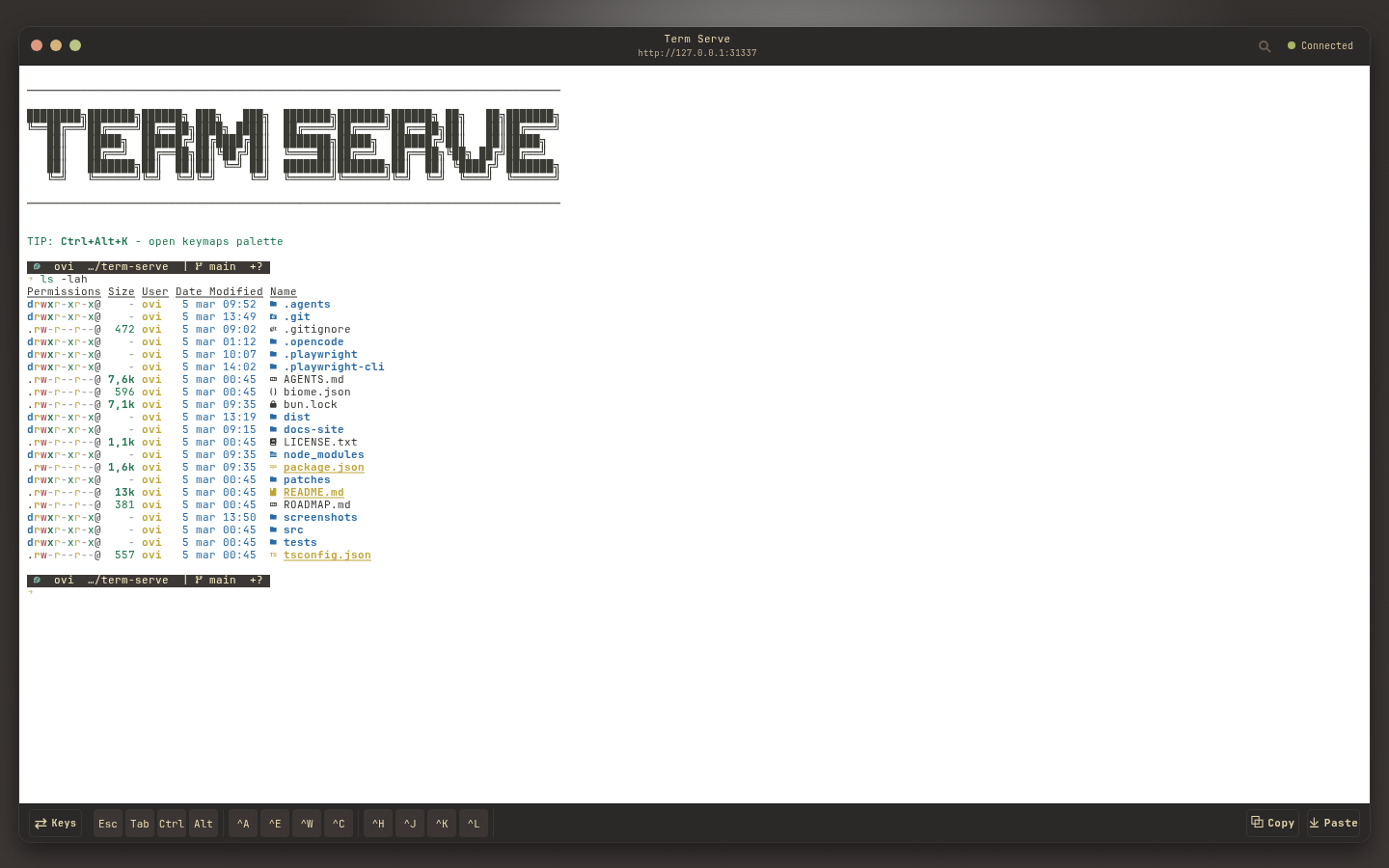 vitesse-light theme screenshot